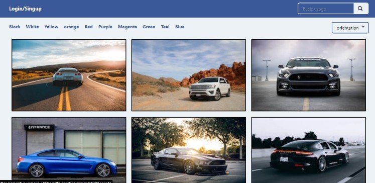 A lightweight and single-page free image downloading website using React