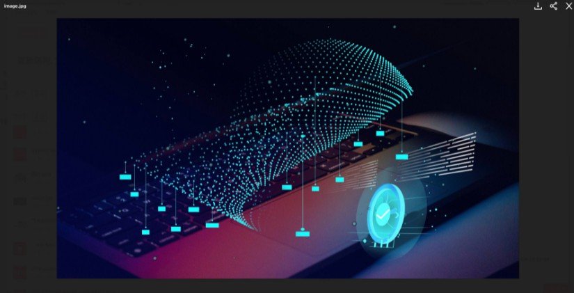 A media previewer component for React