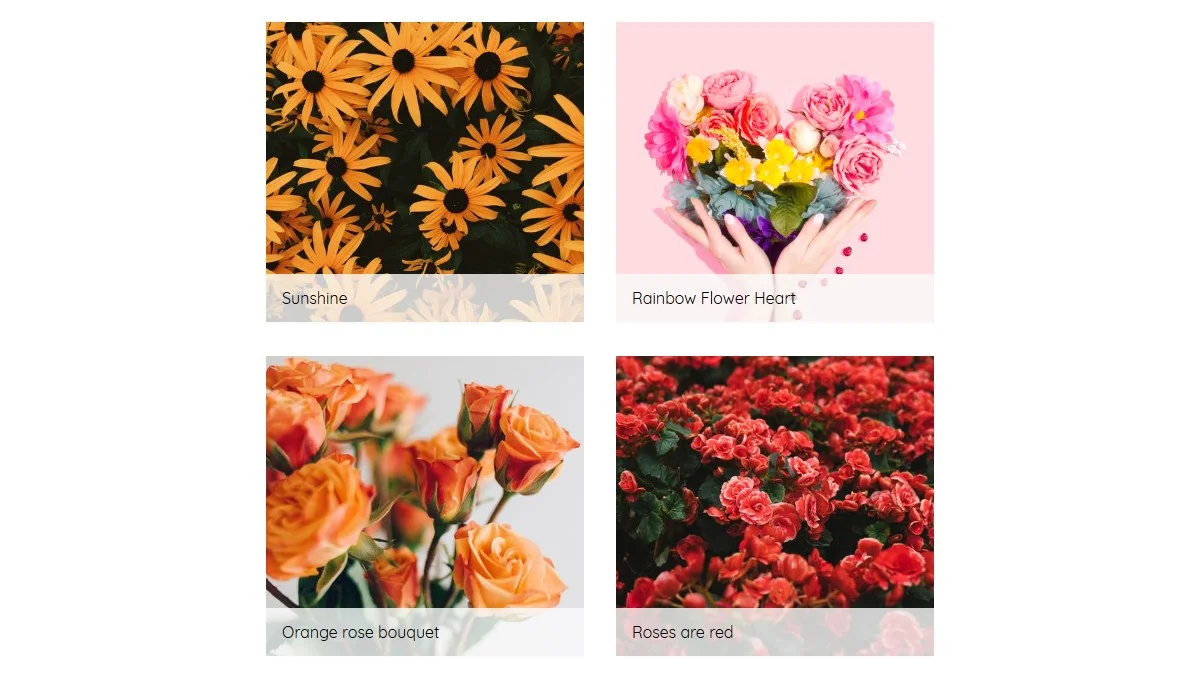 HTML Figure & Figcaption