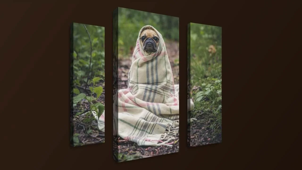 One Background for Multiple divs