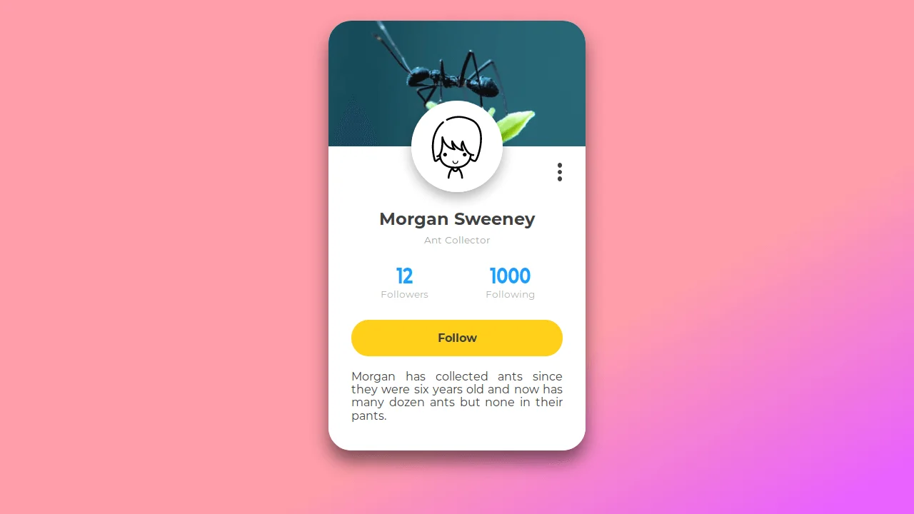 Fairly Colourful Profile Card