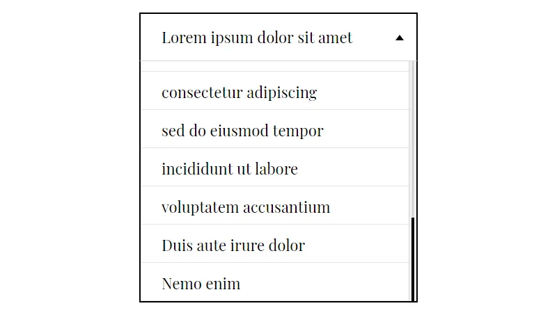 Responsive Custom Select Box