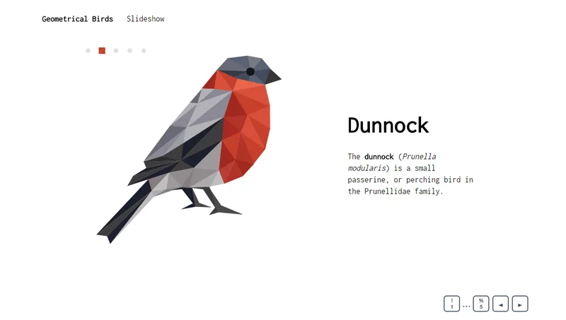 Geometrical Birds - Slideshow