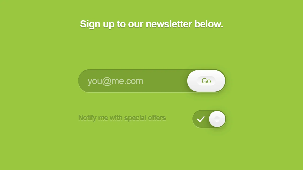 Newsletter Form