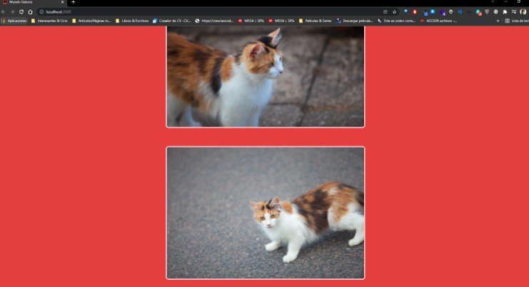 A Web Application Made in React