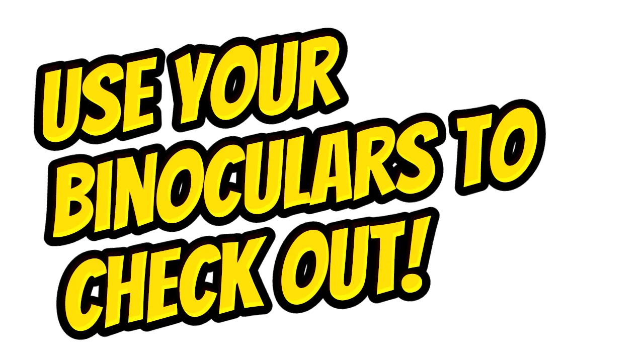 CSS Outline Text Stroke