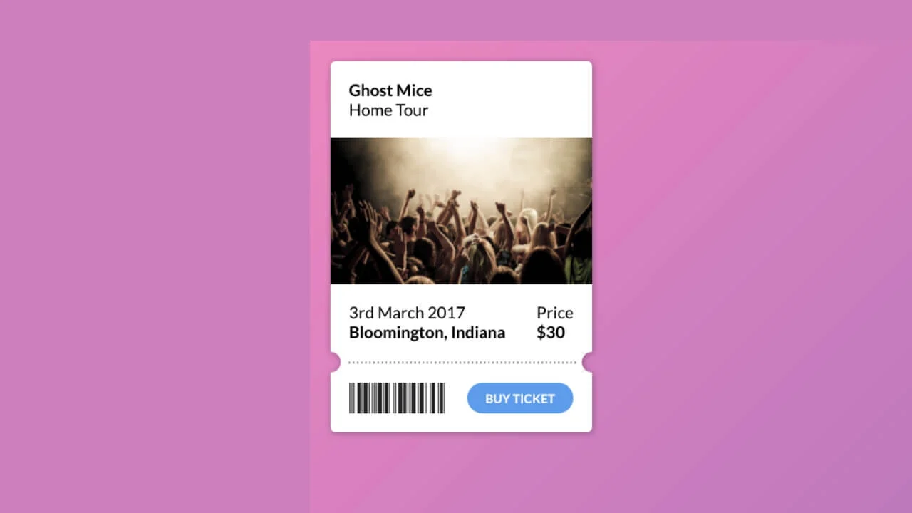 CSS Concert Ticket Purchase