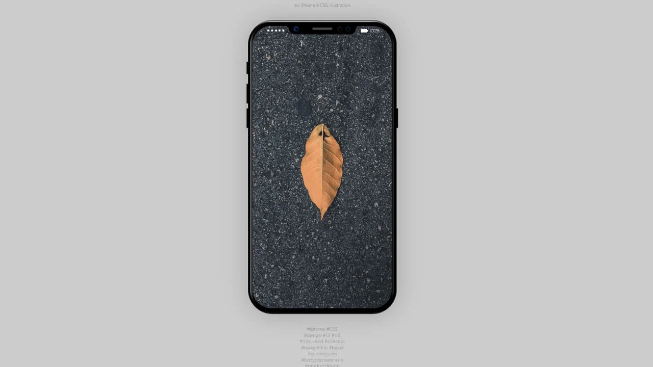 The iPhone X CSS Illustration