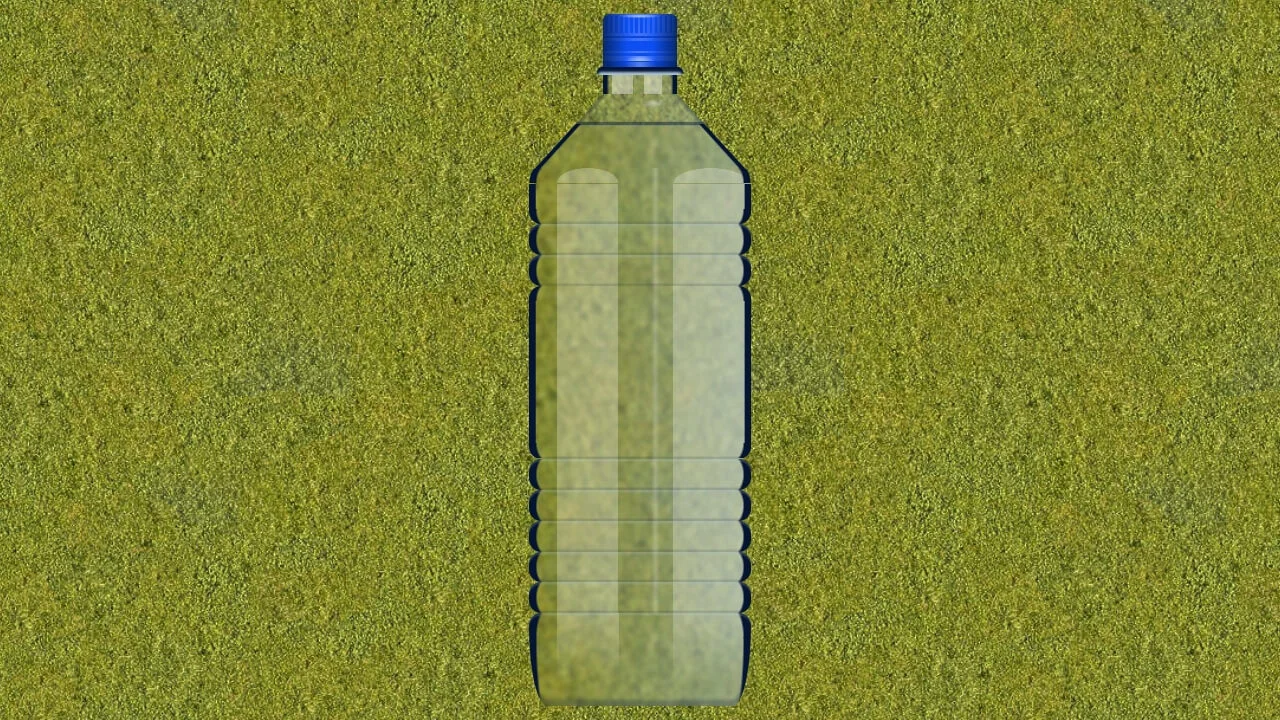 Water Bottle