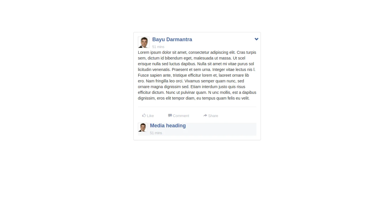 Bootstrap Facebook Post Style with Comments Box