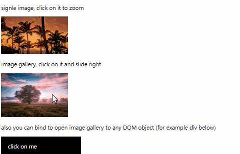 Minimalistic image gallery for react, Responsive with all important features and smooth animations