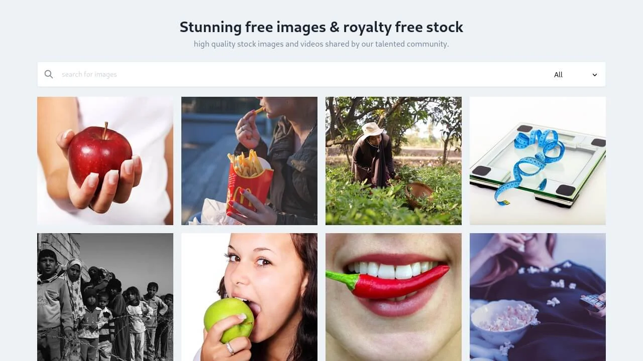 Search Image Gallery