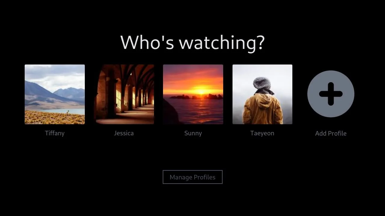 Netflix - Select User