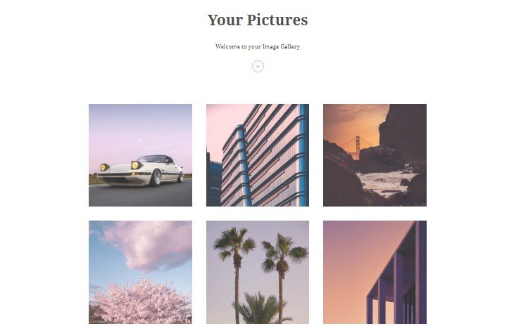Photo Gallery App with React and Firebase