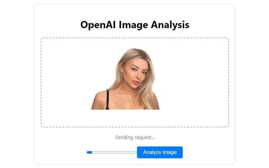 React application leveraging OpenAI's GPT-4 Vision API for image content analysis and description