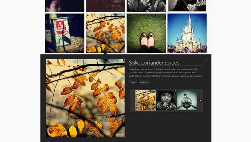 jQuery Elastic Grid