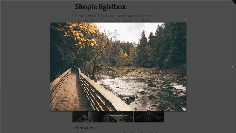SimpleLightbox