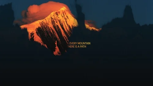 Collection of free jQuery reveal animation examples from Codepen and GitHub