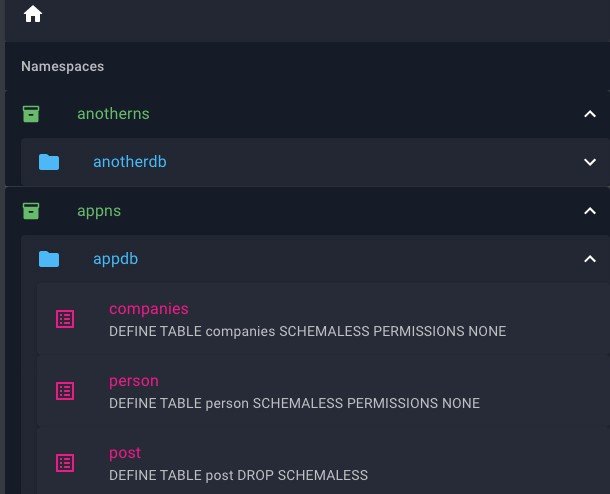 SurrealDB explorer with React